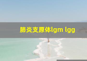 肺炎支原体lgm lgg